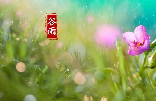关于谷雨的祝福语有哪些