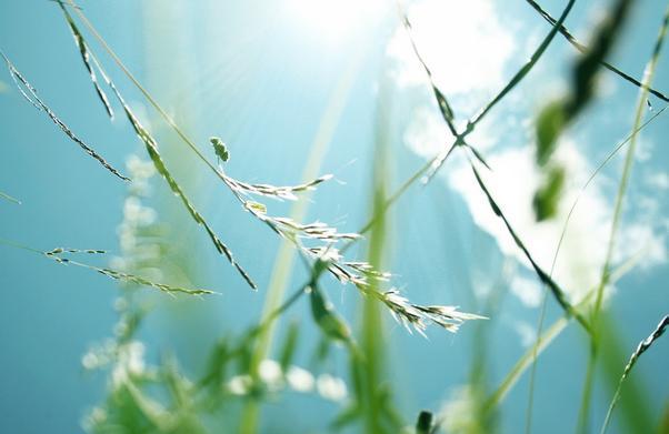 2017年夏天高温预测