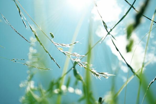 2017年夏天高温预测