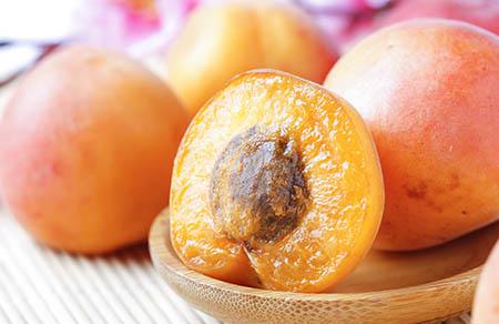 芝妈行有机农场活动 带孩子亲近自然享受健康