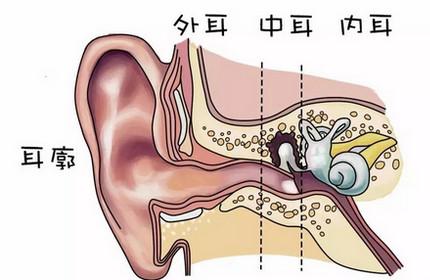 “招风耳”的孩子更聪明？看你家宝宝的耳形正常吗？
