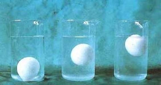 在盐水里浮起来的鸡蛋