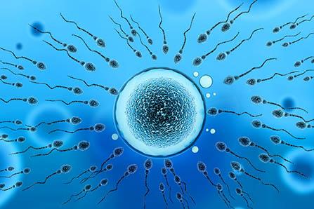 妊娠胆汁淤积症与痒疹区别