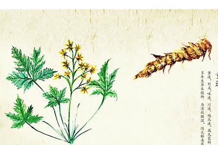 怀孕时胆汁淤积宝宝会遗传吗