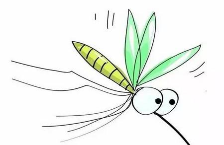 花露水是“农药”？宝宝驱蚊到底怎么做？最完整攻略！