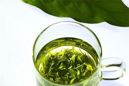 湿气重可以喝绿茶吗