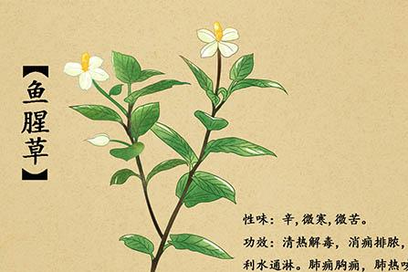 blackmores深海鱼油