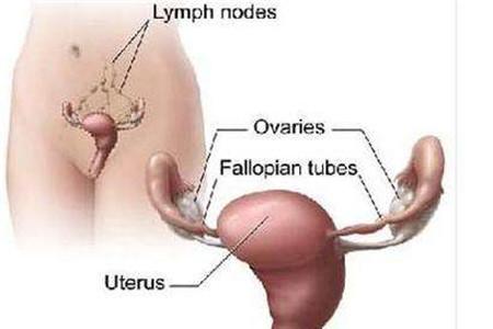 畸胎瘤影響生育嗎
