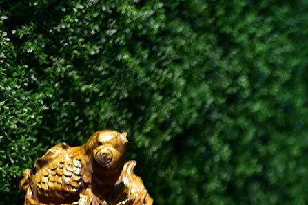 乳牙坏了会影响恒牙吗