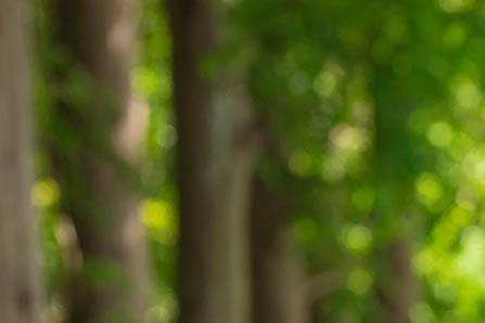 怎么祛斑彻底小窍门 自然祛斑就是这么简单