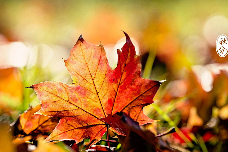 2017年秋分生宝宝好么