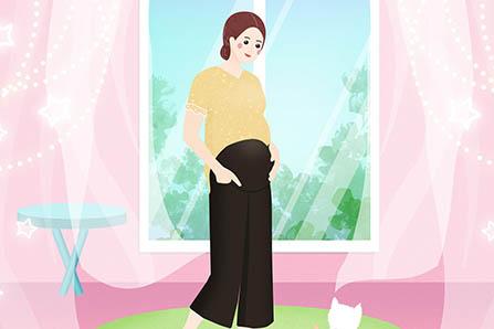 龙凤呈祥的成语故事