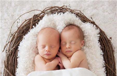 同卵双胞胎可以减胎吗