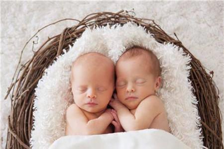 同卵双胞胎dna一样吗