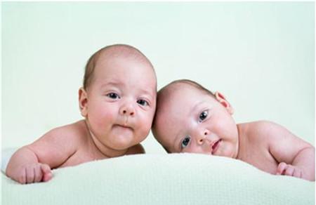 同卵双胞胎是几个精子