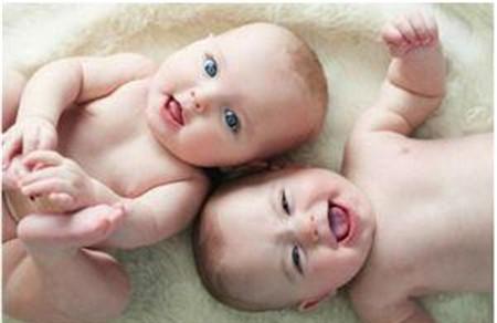 同卵双胞胎发育过程图