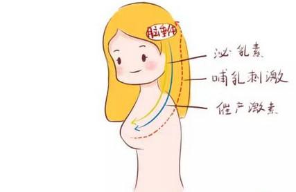 母乳是血液转化而成的么，宝宝是不是每天都在喝妈妈的血？