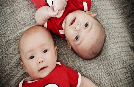 同卵双胞胎有几个孕囊