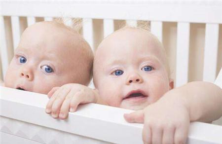 同卵双胞胎概率是多少
