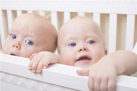 同卵双胞胎概率是多少