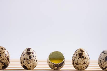 新生儿满月疫苗可以推迟多久