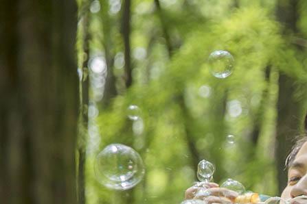 贪小失大的成语故事