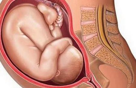 胎盘位于子宫前壁正常吗？ 有什么影响