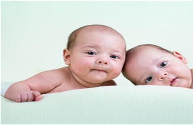 同卵双胞胎可能是龙凤胎吗
