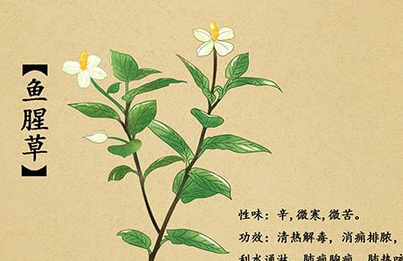 小鼹鼠多多挖洞的故事