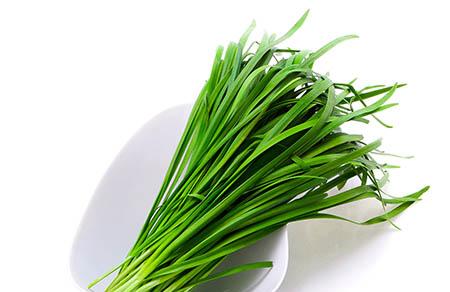 养乐多是哪个国家的