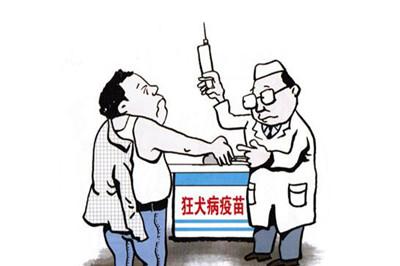 打狂犬病疫苗的副作用