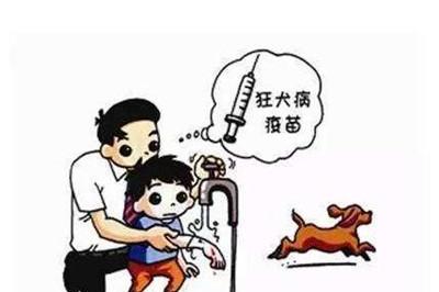 狂犬病疫苗超过24小时怎么办