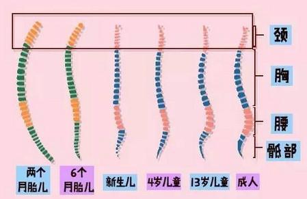 还在给宝宝用枕头？小心酿成大祸