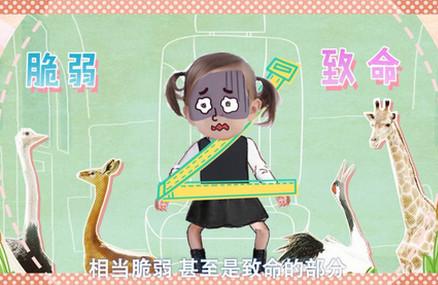 安全带可以保护宝宝？这么说的人不是坏就是蠢