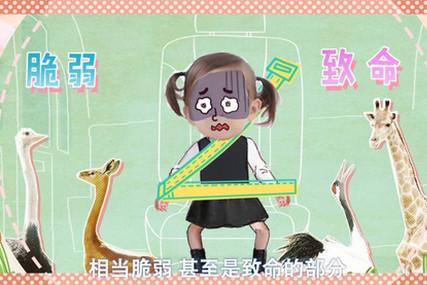 安全带可以保护宝宝？这么说的人不是坏就是蠢