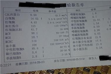 白血病的血常规