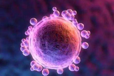 监测排卵的方法 监测排卵的六个方法