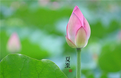 夏至有什么讲究