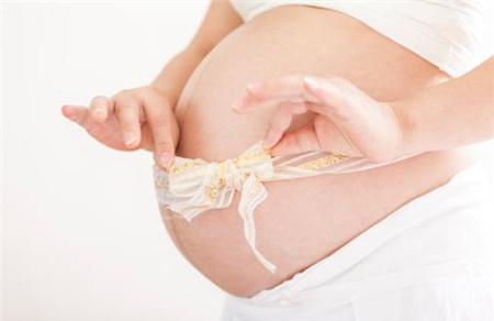 妊娠是什么意思