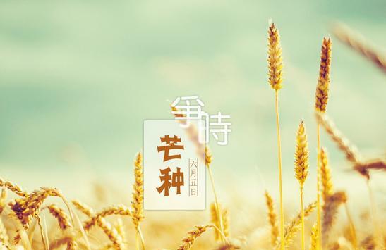 芒种是哪个季节
