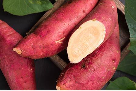 小孩满月酒红包上写什么祝福语