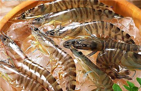 哺乳期妈妈可以吃虾吗