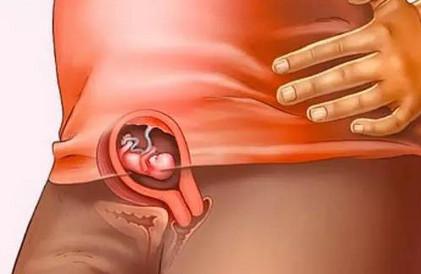 胎儿40周发育全程图解！原来十月怀胎就是最大的奇迹！