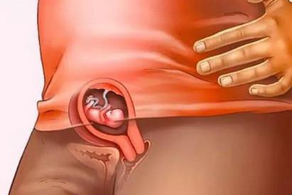 胎儿40周发育全程图解！原来十月怀胎就是最大的奇迹！