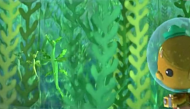 叶海龙