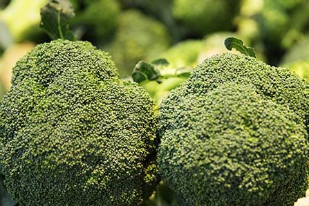 衍生七星茶的功效与作用