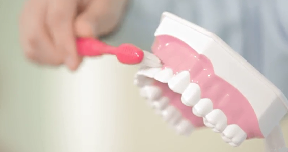 宝宝如何刷牙？