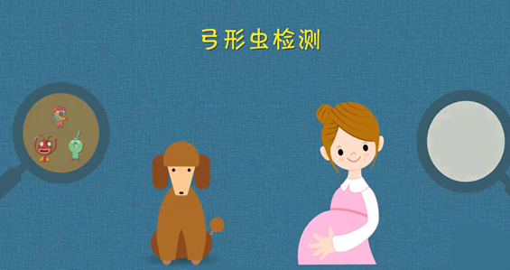 孕期养宠物需要注意什么？