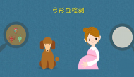 孕期养宠物需要注意什么?