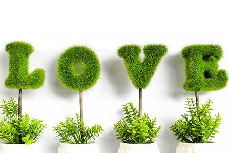 退烧贴可以贴哪些部位